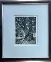 Load image into Gallery viewer, WATTS: Orleans Park
