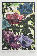 Load image into Gallery viewer, BRENDER A BRANDIS: Anemone Coronaria
