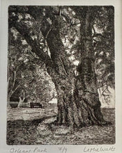 Load image into Gallery viewer, WATTS: Orleans Park
