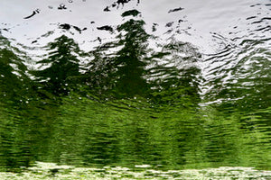 Green Rhythm