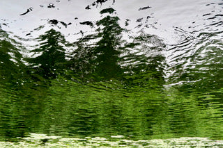 Green Rhythm