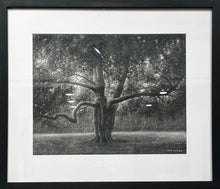 Load image into Gallery viewer, WATTS: Tree
