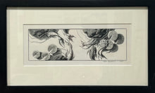 Load image into Gallery viewer, NUTT: Untitled (waterlilies &amp; fish)
