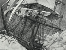 Load image into Gallery viewer, NUTT: The Catship
