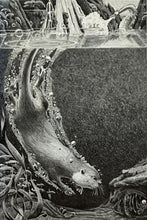 Load image into Gallery viewer, NUTT: Untitled (diving beaver)
