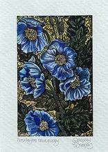 Load image into Gallery viewer, BRENDER A BRANDIS: Himalayan Blue Poppy
