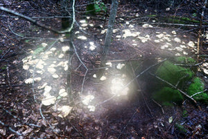 Light Circle