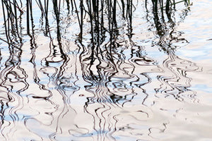 Water Lines