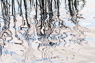 Water Lines