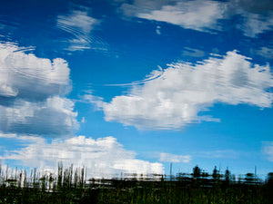 Sky Rings