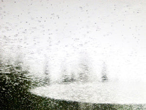 Tree Drops
