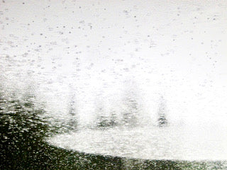Tree Drops